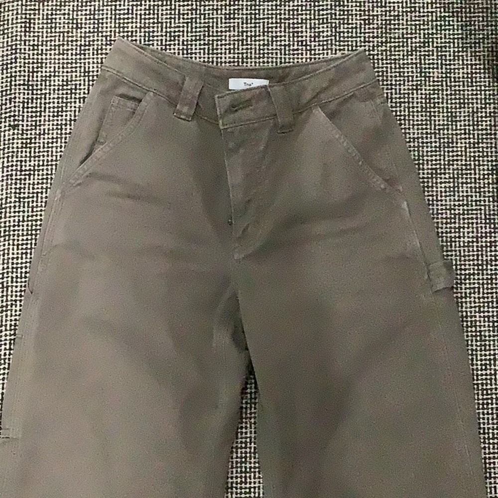Tna/Aritzia carpenter pants